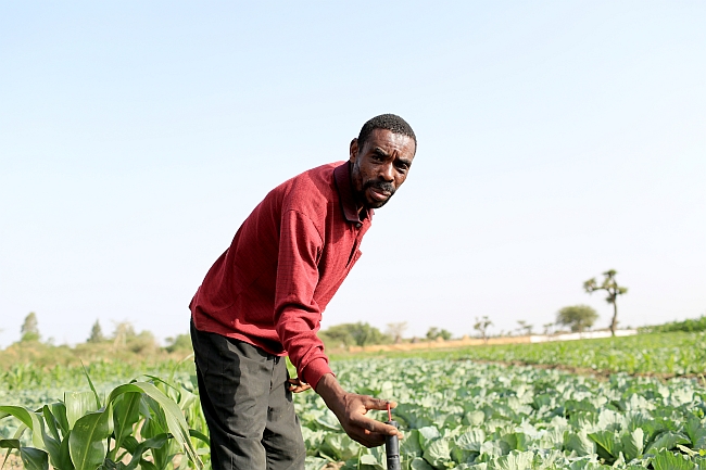 Tesfaye Belijige beside a wetting front detector on his farm near Meki, Ethiopia. Apollo Habtamu